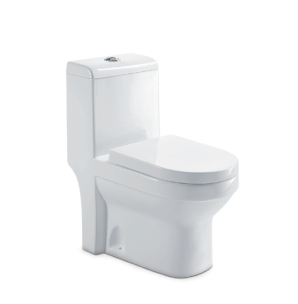 KAIZER One Piece Toilet EWC Washdown