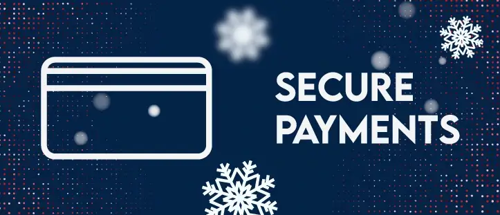 WinterSale Payments